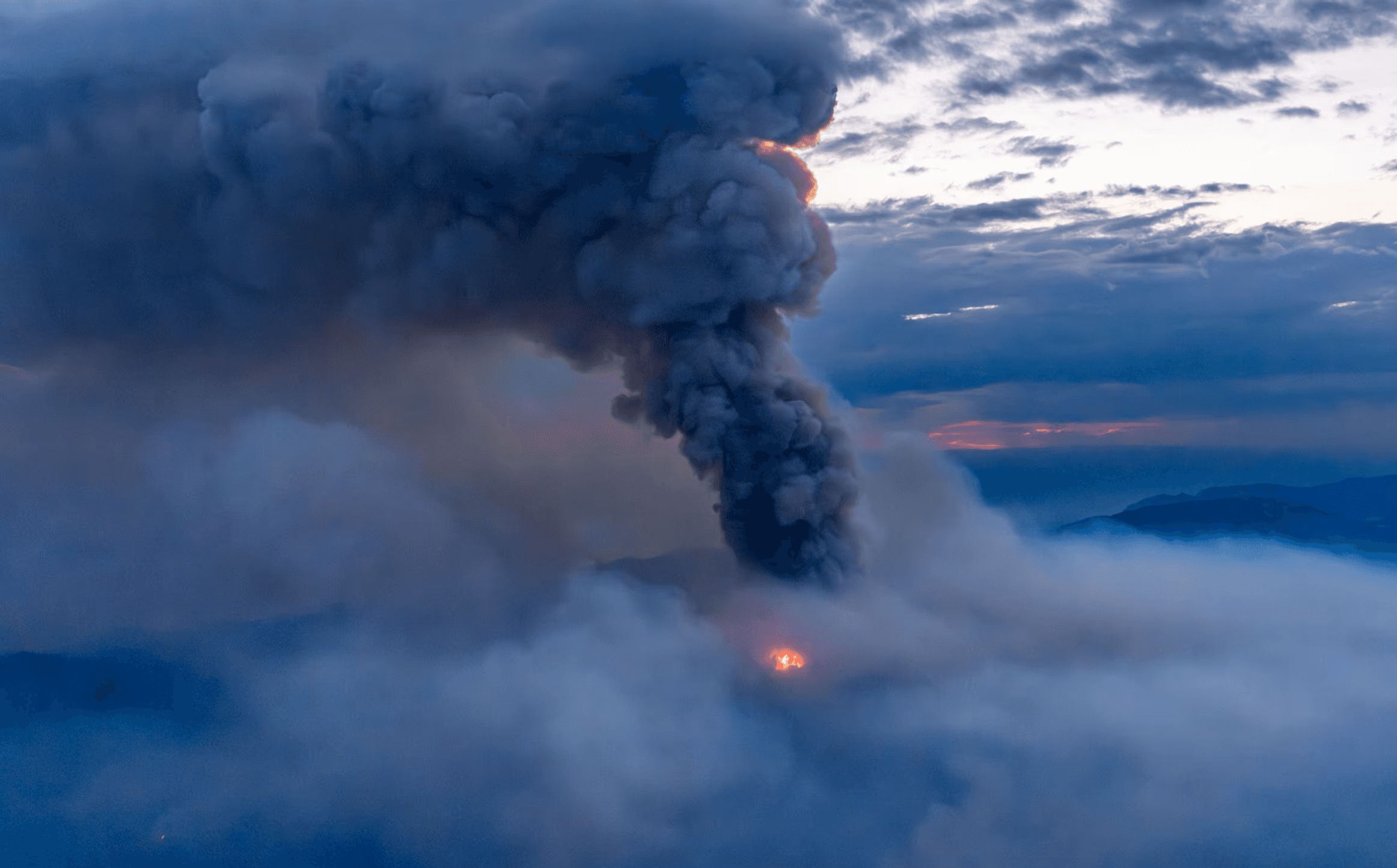 Dispatch From a World on Fire